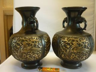 Fine Pair Chinese Bronze Vases Dragons Birds Black Bronze 19thc