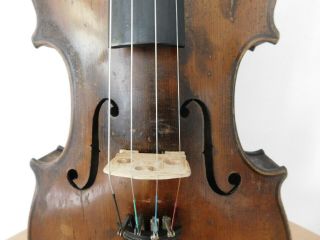 VIOLIN -,  Old Violin,  ITALY,  Label Joseph Antonius Rocca,  4/4? - back 35,  6 3