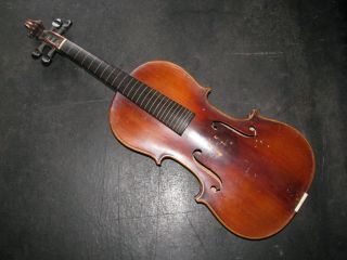 1899 Carl Storioni 4/4 Violin Markneukirchen/rieger & Fiorini Germany Antique