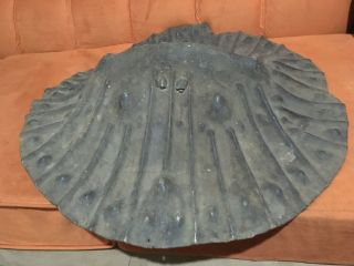 Antique African Ethiopian leather war shield weapon 6