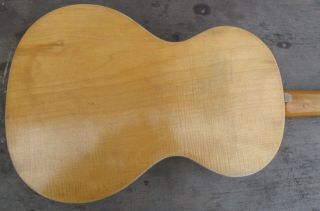 Fine parlor guitar with solid flamed maple bottom and sides Austria 1900 8