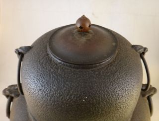 Large 19th c.  Japanese Iron Tea Ceremony Furogama Chanoyu Pot Kettle,  13 