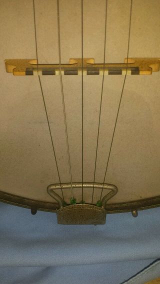 1895 5 String Banjo 12