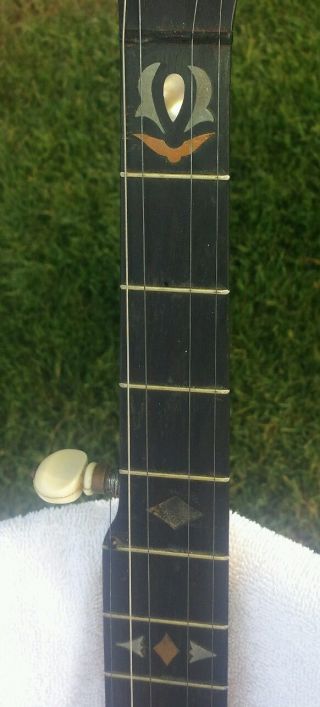 1895 5 String Banjo 3