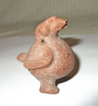 Small Colima Pre - Columbian Terra Cotta Pottery Bird Figure - Mexico - Antiquity