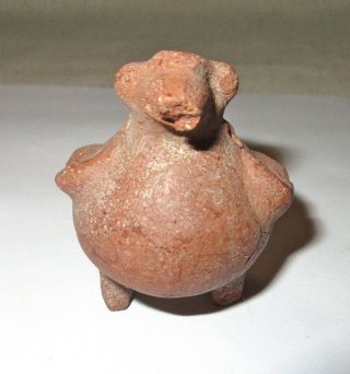 Small Colima Pre - Columbian Terra Cotta Pottery Bird Figure - Mexico - Antiquity 2