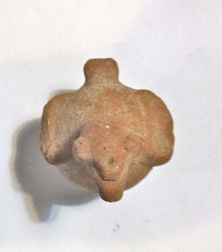 Small Colima Pre - Columbian Terra Cotta Pottery Bird Figure - Mexico - Antiquity 3