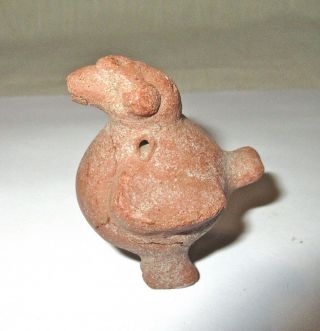 Small Colima Pre - Columbian Terra Cotta Pottery Bird Figure - Mexico - Antiquity 4