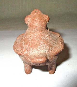 Small Colima Pre - Columbian Terra Cotta Pottery Bird Figure - Mexico - Antiquity 5