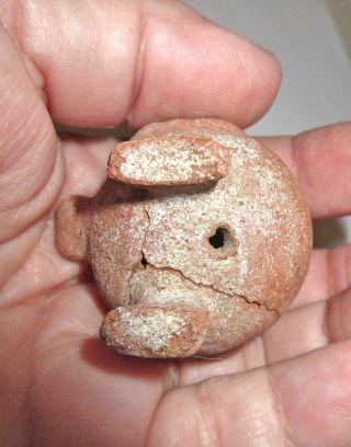 Small Colima Pre - Columbian Terra Cotta Pottery Bird Figure - Mexico - Antiquity 6