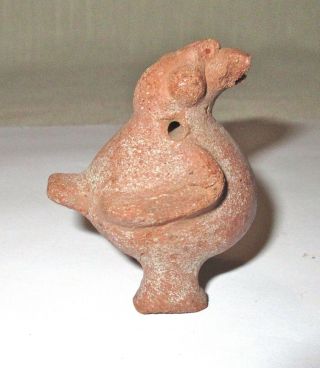 Small Colima Pre - Columbian Terra Cotta Pottery Bird Figure - Mexico - Antiquity 8