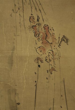 掛軸1967 JAPANESE HANGING SCROLL : KANO CHIKANOBU 