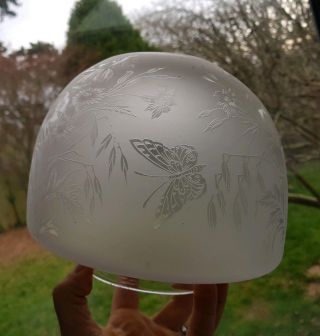 Victorian Antique Etched Glass Oil Lamp Shade Butterfly,  Orange Chimney 10