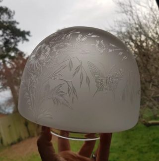Victorian Antique Etched Glass Oil Lamp Shade Butterfly,  Orange Chimney 12