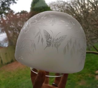 Victorian Antique Etched Glass Oil Lamp Shade Butterfly,  Orange Chimney 2