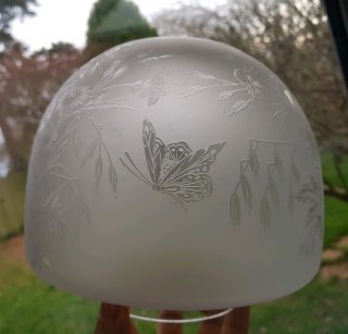 Victorian Antique Etched Glass Oil Lamp Shade Butterfly,  Orange Chimney 3