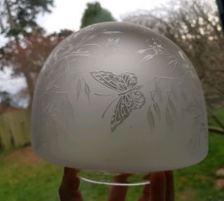 Victorian Antique Etched Glass Oil Lamp Shade Butterfly,  Orange Chimney 4