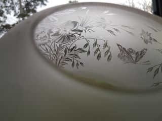 Victorian Antique Etched Glass Oil Lamp Shade Butterfly,  Orange Chimney 6