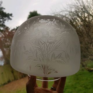Victorian Antique Etched Glass Oil Lamp Shade Butterfly,  Orange Chimney 7