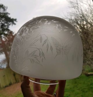 Victorian Antique Etched Glass Oil Lamp Shade Butterfly,  Orange Chimney 8