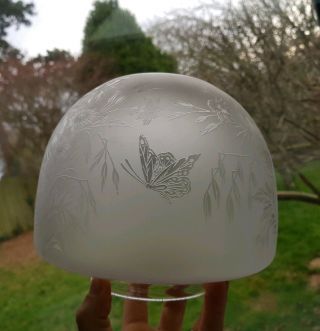Victorian Antique Etched Glass Oil Lamp Shade Butterfly,  Orange Chimney 9