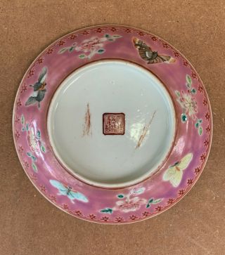 Antique Nyonyaware Straits Chinese Butterflies Dish 2