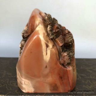 Unique Natural Shoushan Stone Ross quartz Carving old man Pine seal stamp LLL 6