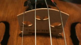 Antique American Violin with Two Bows and Case 5