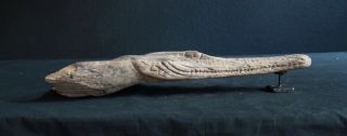 HEAD OF A DUGOUT CANOE - CROCODILE 3