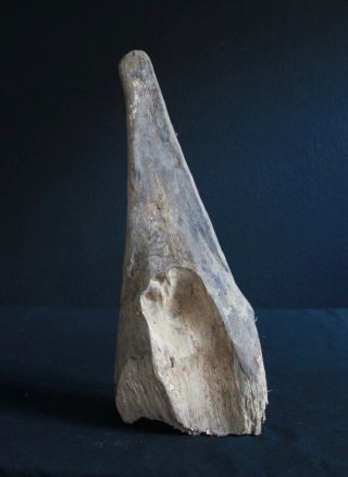 HEAD OF A DUGOUT CANOE - CROCODILE 7