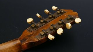 ART NOUVEAU 8STRING Old Mandoline Mandolini Salon GUITAR PARLOR PARLOUR Antique 12