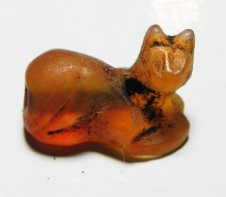 Zurqieh - As3846 - Ancient Egypt,  Kingdom.  Carnelian Cat Amulet.  1400 B.  C