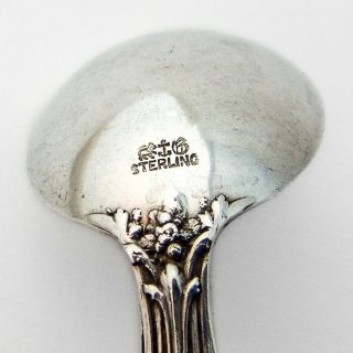 Versailles Chocolate Spoons 9 Sterling Silver Gorham Silversmiths 4