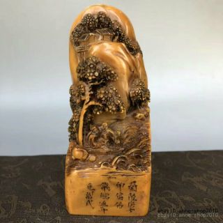 Unique Natural Tianhuang Shoushan Stone Carving Old Man Pine Seal Stamp Lll