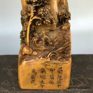 Unique Natural Tianhuang Shoushan Stone Carving old man Pine seal stamp LLL 3