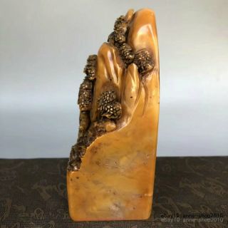 Unique Natural Tianhuang Shoushan Stone Carving old man Pine seal stamp LLL 4