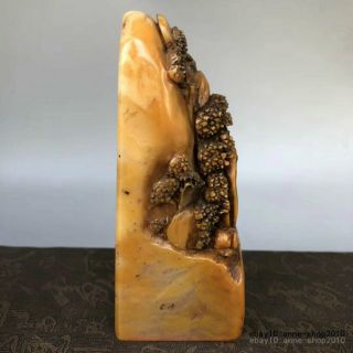 Unique Natural Tianhuang Shoushan Stone Carving old man Pine seal stamp LLL 6