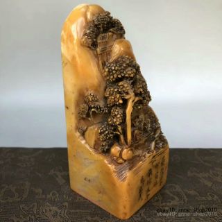 Unique Natural Tianhuang Shoushan Stone Carving old man Pine seal stamp LLL 7