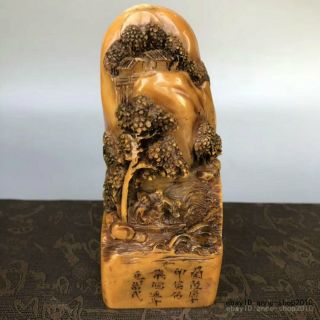 Unique Natural Tianhuang Shoushan Stone Carving old man Pine seal stamp LLL 8