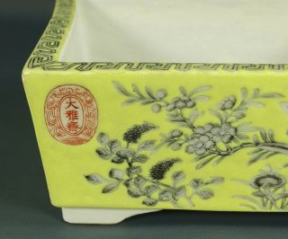 Chinese 19/20 C DAYAZHAI Jardiniere,  Bulb Planter,  Pot YONG QING CHANG CHUN MARK 3