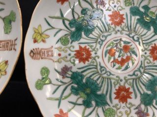 Antique 19th Century Porcelain Chinese Plates With Gorgeous Enamel. 12