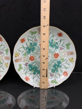 Antique 19th Century Porcelain Chinese Plates With Gorgeous Enamel. 2