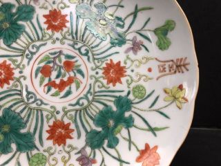 Antique 19th Century Porcelain Chinese Plates With Gorgeous Enamel. 6