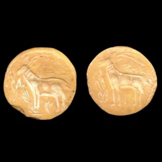 Indus Valley Stone Double Sided Seal,  Rare Ancient Artifact,  3rd Millennium Bc 3