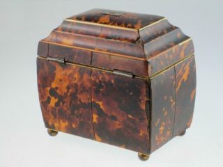 Antique 19th Century Faux Tortoiseshell Tea Caddy Circa 1820 6