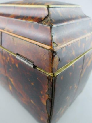 Antique 19th Century Faux Tortoiseshell Tea Caddy Circa 1820 9
