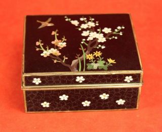 Vintage Inaba Black Japanese Cloisonne 3½ " Hinged Box - Bird Design Silver