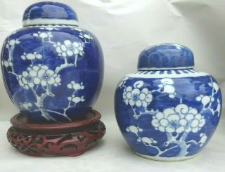 2 Antique Chinese Ginger Jars Prunus Pattern Kangxi Rings