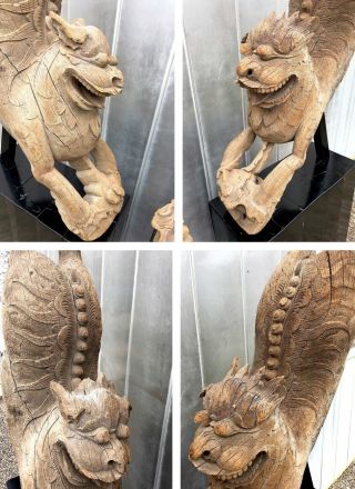 Monumental Carved Wood Asian Foo Dogs - Custom Bases - Pair 4