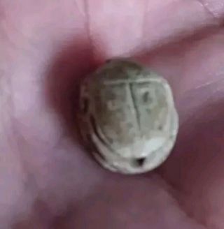 Antient Egyptian Scarab With Certificate Of Authentication 2